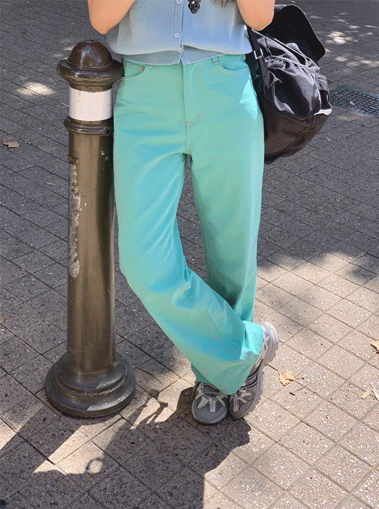 호이트 pants (3 color)